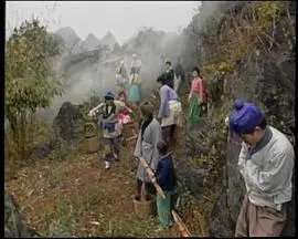 鱼公主红鲤公主