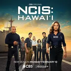 海军罪案调查处：夏威夷第三季