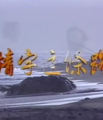 情字这条路