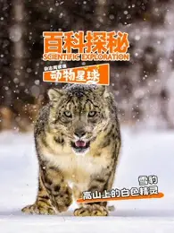 科探秘动物星球：高山上的白色精灵雪豹