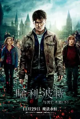 哈利·波特与死亡圣器(下)（国语）