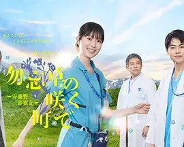 在勿忘草盛开的城镇